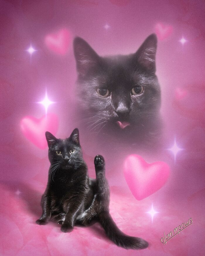 Over-the-top 80s portrait with a black cat striking a pose, with a floating cat head, hearts and sparkles.