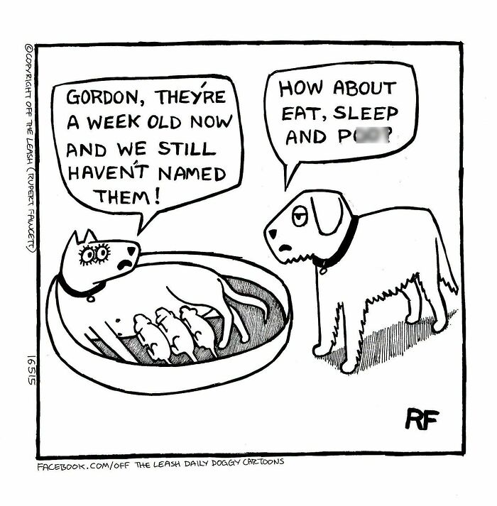 Off The Leash comics depicting a discussion about naming new puppies.