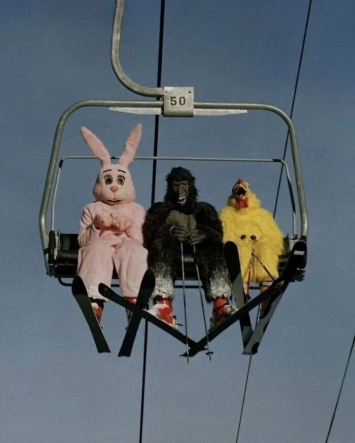 Three people in animal costumes (bunny, gorilla, chicken) riding a ski lift, a funny moment caught by photographers.