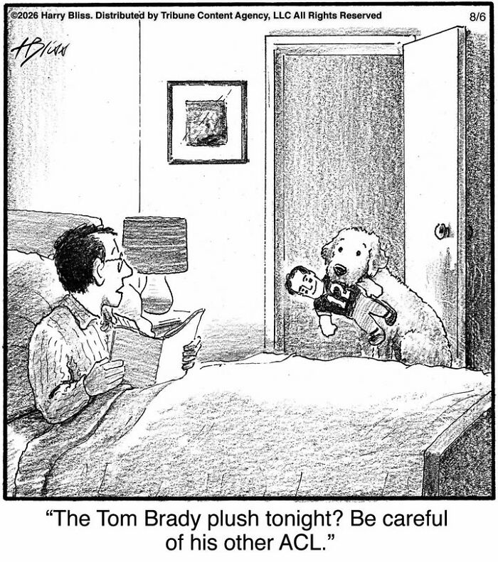 A funny dog comic by Harry Bliss with a dog bringing a Tom Brady plush to its owner in bed.