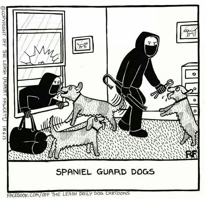 Off The Leash comics showing dogs as guard dogs for a home invasion.