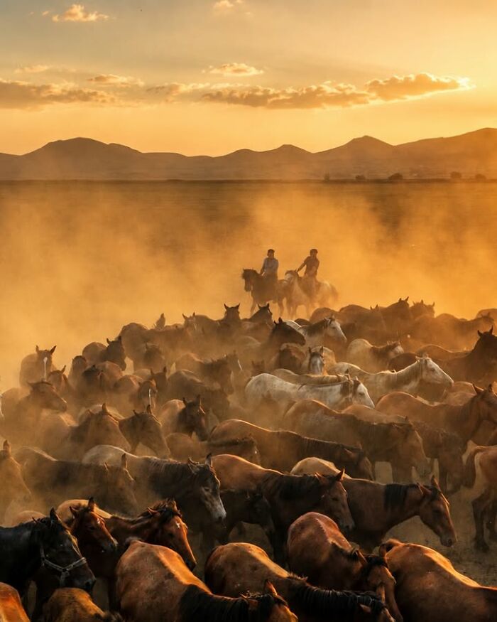 Murat Bakmaz captures the easily missed beauty of everyday life, featuring riders with a large herd of horses at sunset.