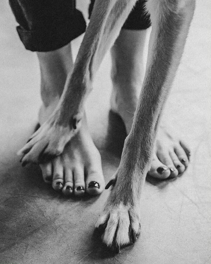 A black and white image of a person's bare feet next to a dog's paws, showing their bond.