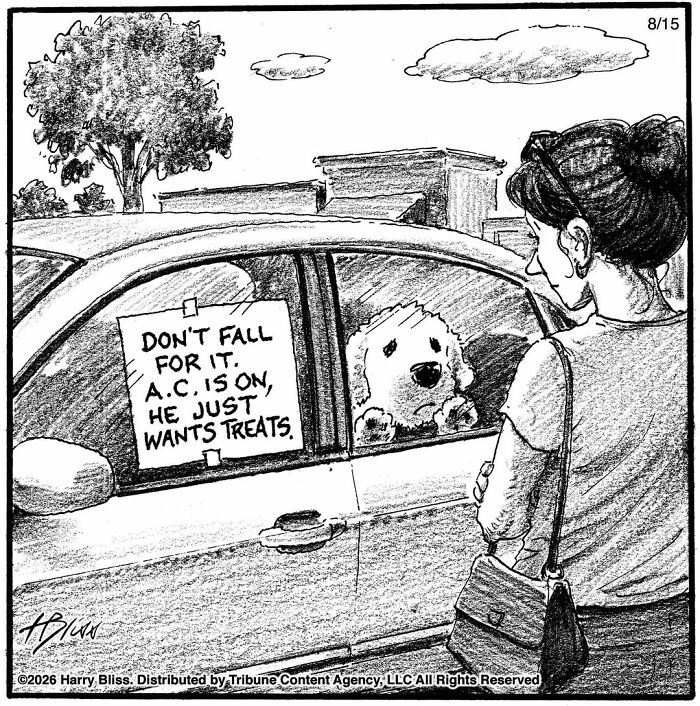 Funny dog comics: A woman looks at a sad dog in a car with a note saying not to fall for its tricks.