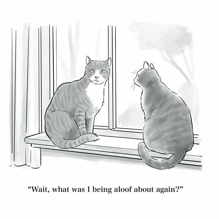 Absurd Mannequin On The Moon comic featuring two cats on a windowsill, one looking out and the other staring straight ahead.