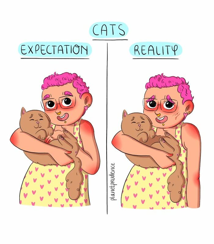 Artist illustrates what being a woman is like, showing the expectation vs. reality of cuddling cats.