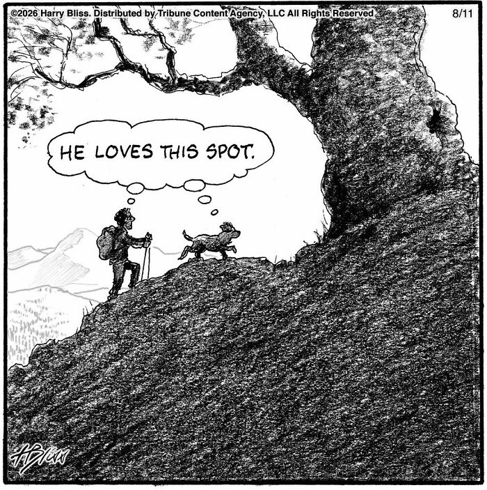 Funny dog comics: A hiker and his dog enjoy a scenic spot under a large tree.