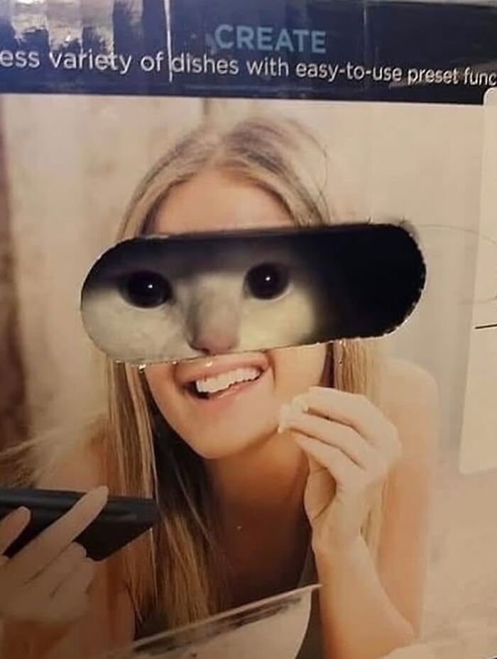 A photographer captures a funny moment of a cat's eyes peering through a cutout in a box, aligning with a woman's face.