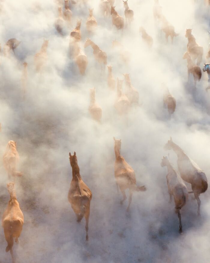 Murat Bakmaz captures the easily missed beauty of everyday life, with horses running through a dust cloud.