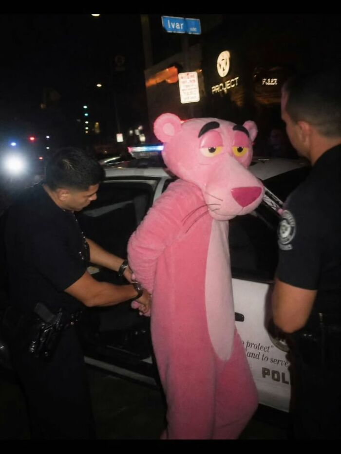 A photographer captures a person in a Pink Panther costume being handcuffed by police officers at night.