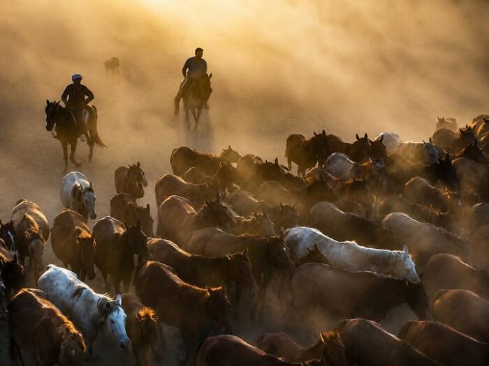 Murat Bakmaz captures the easily missed beauty of everyday life, showing riders herding horses in golden dust.