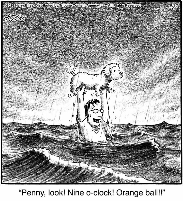 Funny dog comics: A man holds his dog above stormy water, pointing out an orange ball.