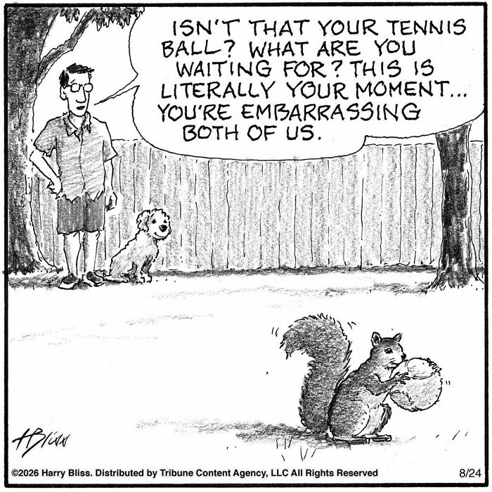 A man watches his dog and a squirrel with a tennis ball, a funny dog comic by Harry Bliss.