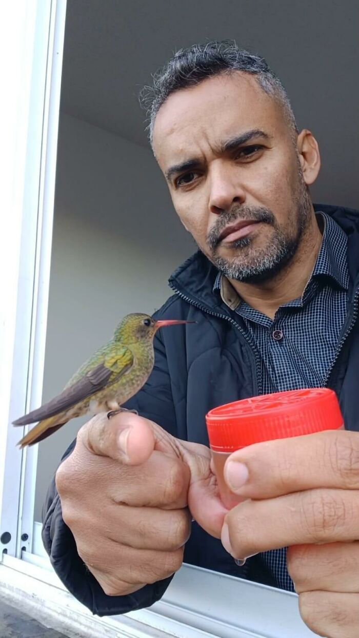 A Brazilian man in a black jacket holds a hummingbird that is feeding from a red cap; his bird restaurant.