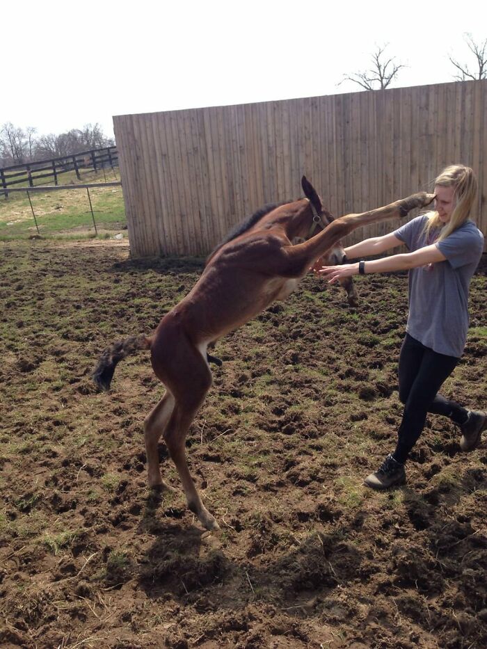50 Perfectly Timed Animal Photos From This Online Collection That Are Almost Too Good To Be True