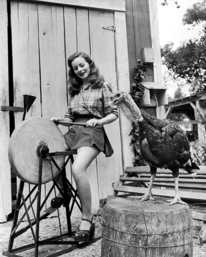 Vintage photo of a woman sharpening a tool with a turkey standing by, capturing animals stealing the spotlight.
