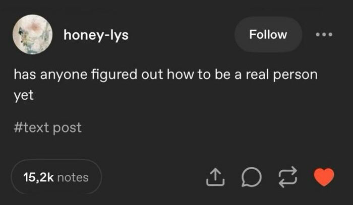 A serotonin meme text post asking if anyone figured out how to be a real person, for comfort.