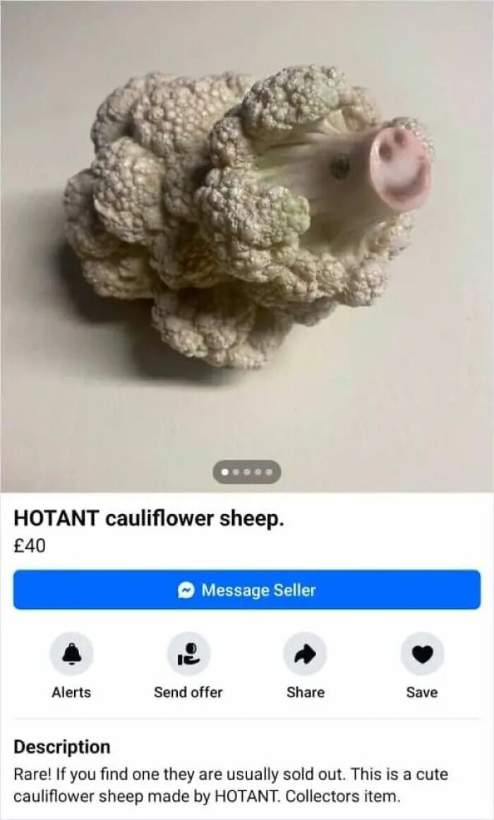 A cauliflower molded into a sheep with a pink snout, a quirky item from an online marketplace.