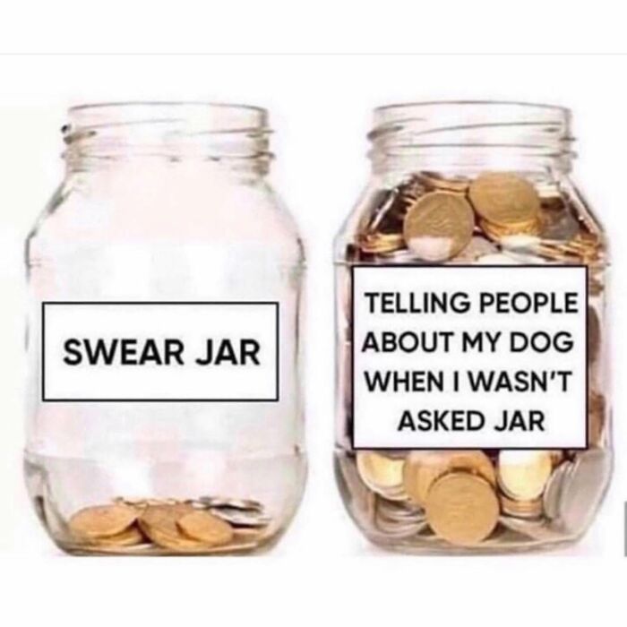 Two glass jars, one labeled Swear Jar with a few coins, and the other, full of coins, labeled Telling People About My Dog When I Wasnt Asked Jar.