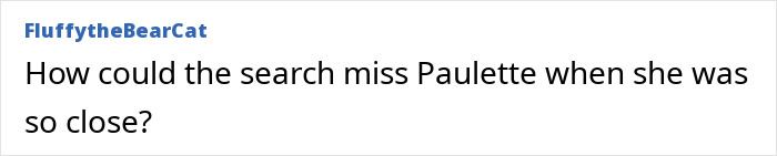 A comment asking how a search could miss Paulette, who vanished without a trace, when she was so close.