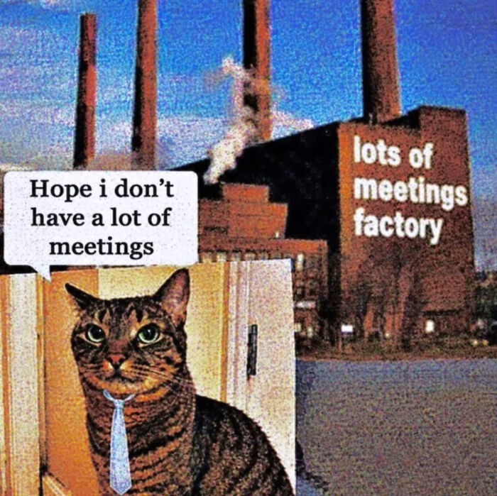 A cat meme featuring a cat in a tie, looking at a factory labeled lots of meetings factory. The cat thinks Hope I don't have a lot of meetings.