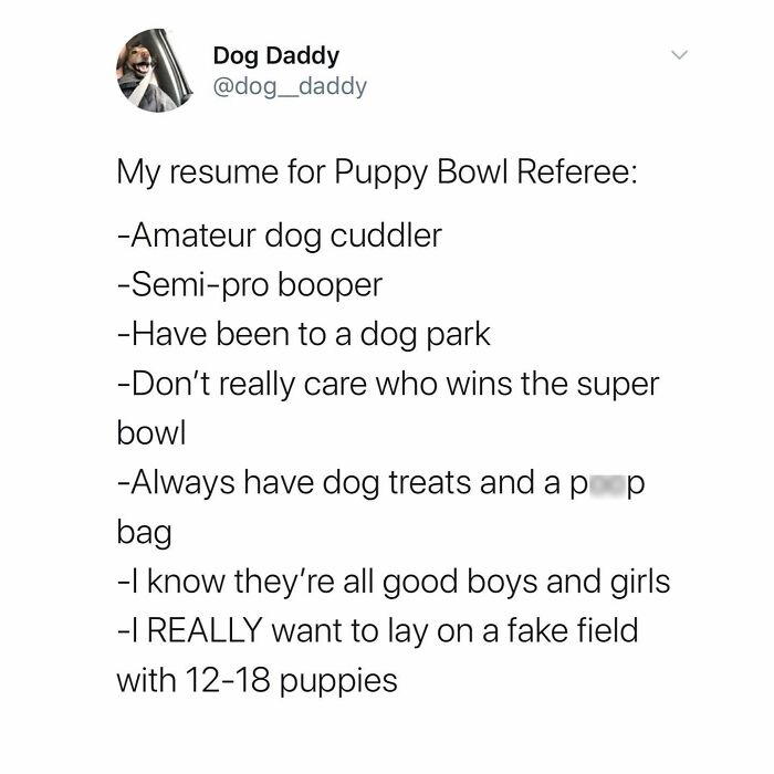 A funny dog meme from Dog Daddy, listing a humorous resume for a Puppy Bowl Referee, focused on dogs.