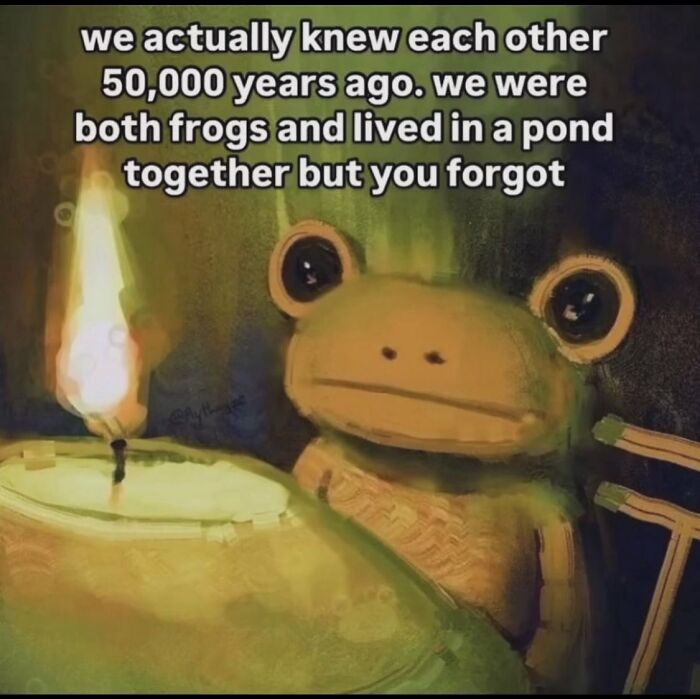 A frog drawing next to a candle, with text about past lives as frogs, a comforting serotonin meme.