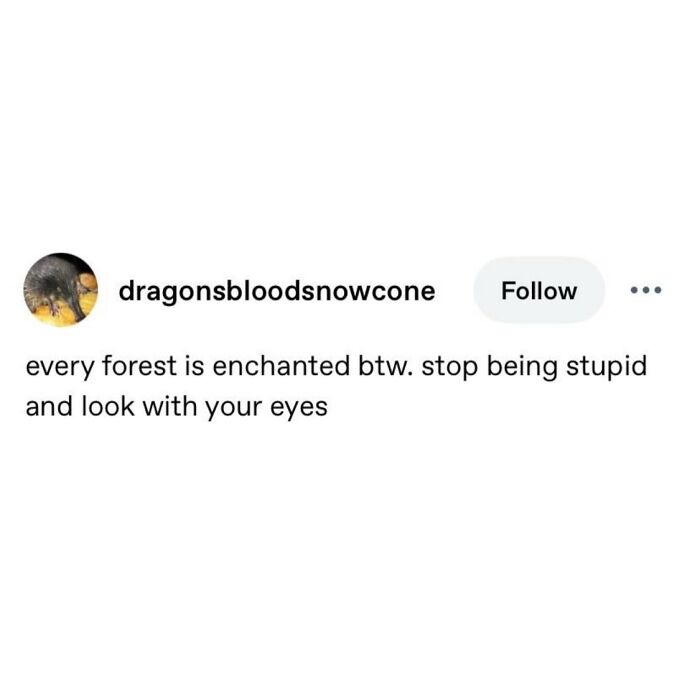 A Serotonin meme text post stating every forest is enchanted, stop being stupid and look with your eyes.