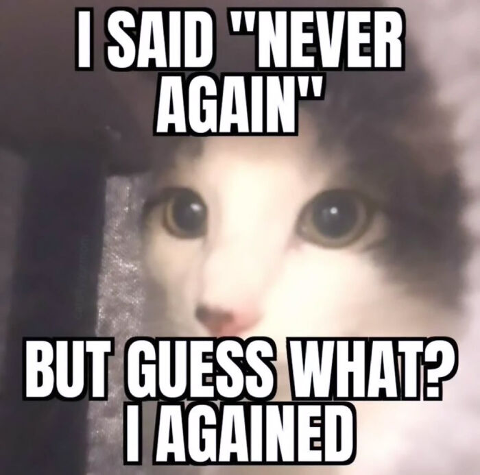 A close-up of a surprised cat with wide eyes, featuring a funny Cat meme about regretting a past action.