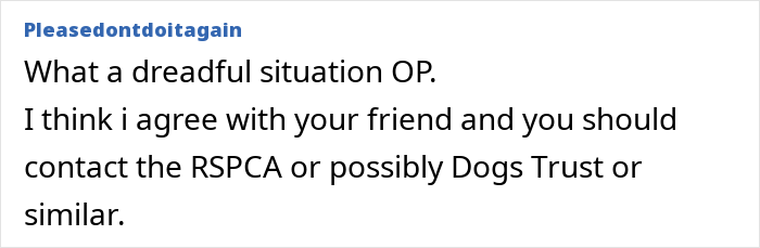 Neighbor Asks Couple To Watch Her Dog “For A Few Days,” Disappears When They Try To Return Him Neighbor Asks Couple To Watch Her Dog “For A Few Days,” Disappears When They Try To Return Him