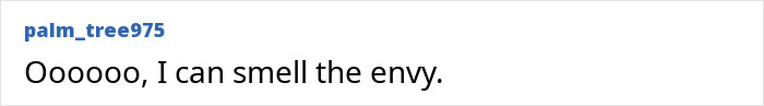 Screenshot of an online comment from user palm_tree975 related to the Days of Thunder star's rant. Screenshot of an online comment from user palm_tree975 related to the Days of Thunder star's rant.