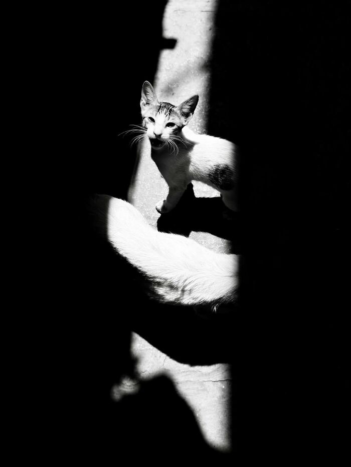 40 Striking Street Photos To Get You Ready For The Pure Street Photography Awards 2027