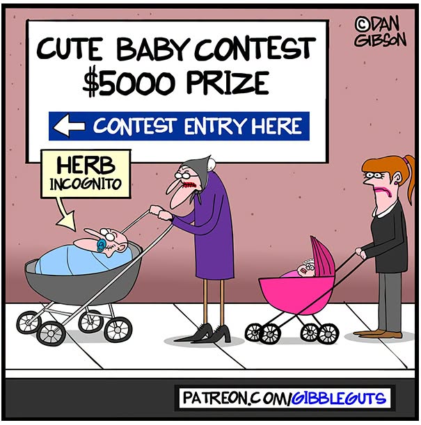 Dan Gibson comic: Herb Incognito in a baby stroller for a Cute Baby Contest, showing growing older doesn't mean growing up.