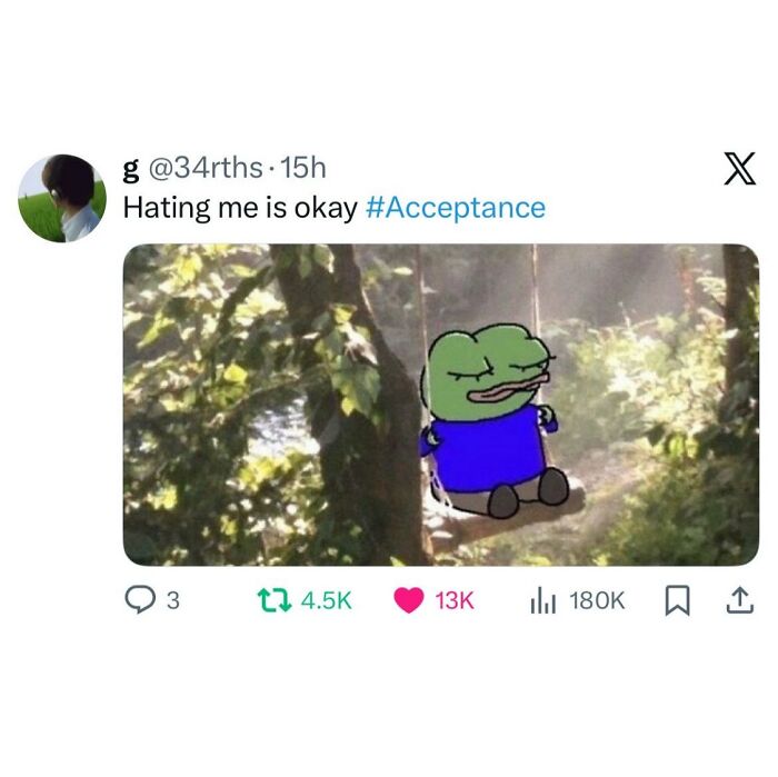A Pepe the Frog meme sitting on a swing, with text about acceptance, bringing comfort and serotonin.