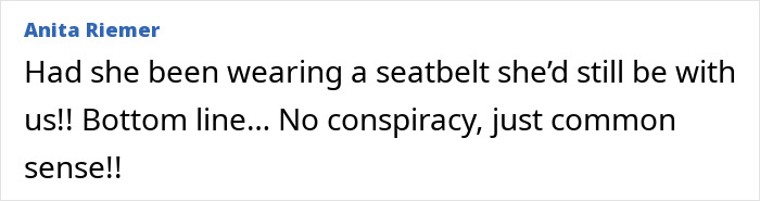 A social media comment from Anita Riemer arguing against the Princess Diana secret pregnancy royal conspiracy theory. A social media comment from Anita Riemer arguing against the Princess Diana secret pregnancy royal conspiracy theory.