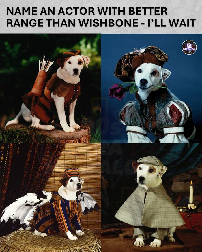 A '90s meme featuring Wishbone in four different historical costumes, showcasing his acting range.
