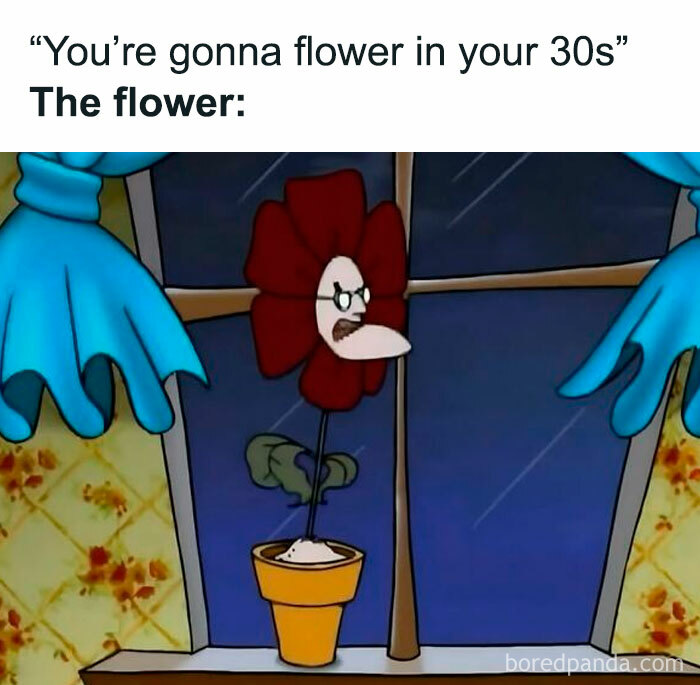 A funny 90s meme of a cartoon flower with glasses, expressing surprise at a window.