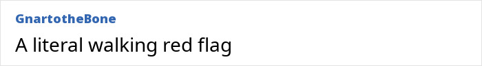 A comment describing the adult industry worker as a walking red flag regarding strange requests. A comment describing the adult industry worker as a walking red flag regarding strange requests.