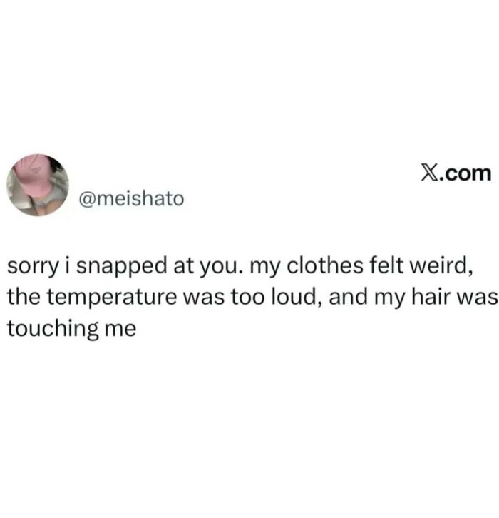 A serotonin meme tweet explaining snapping at someone due to sensory issues, bringing comfort.