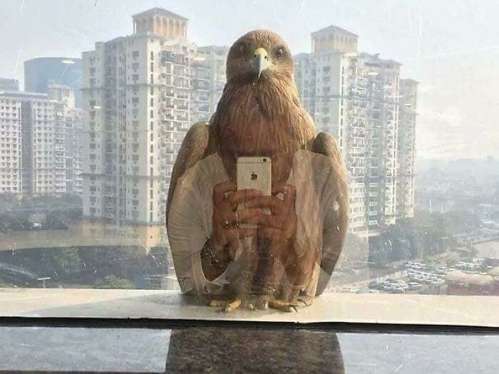 50 Perfectly Timed Animal Photos From This Online Collection That Are Almost Too Good To Be True