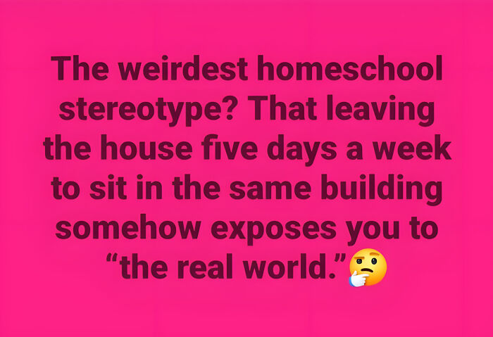 A meme discussing a homeschooling stereotype. It is one of many ways parents solve problems with education.