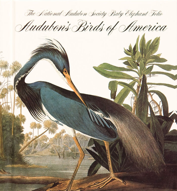 Audubon's Birds of America, a historical book with a detailed illustration of a blue heron, part of books sold for millions.