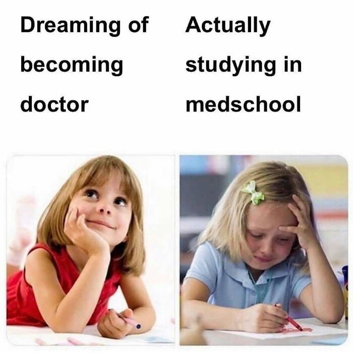Split image meme contrasting dreaming of becoming a doctor with the reality of studying in med school, relatable for doctors.