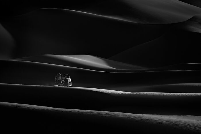 Black & White, 3rd Place: A Whisper In The Sands By Mohamed Noufal