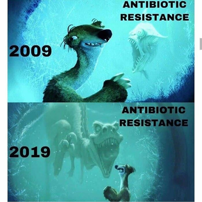An Ice Age meme showing Sid facing antibiotic resistance, a funny medical meme for doctors.