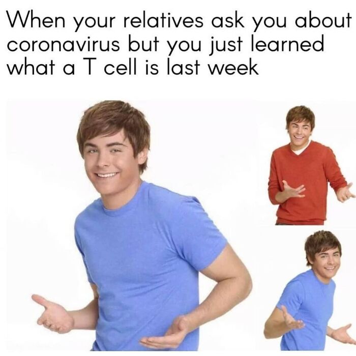 Zac Efron in multiple poses shrugging, representing a medical book meme about T cells and coronavirus.