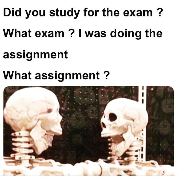 Two skeleton models look at each other, used as a medical book meme about studying for exams.