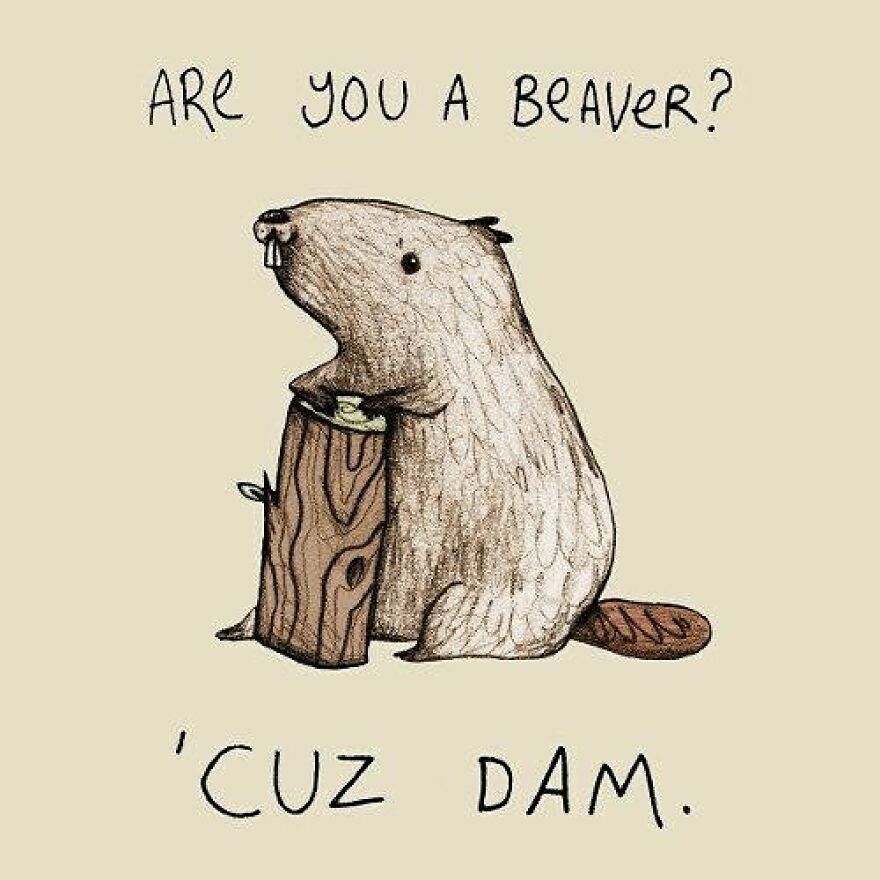 Funny pick up lines: a cartoon beaver with the text Are you a beaver? Cuz DAM.