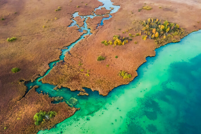 An aerial view capturing stunning nature photography of a river flowing through a golden marsh into a vibrant turquoise lake.
