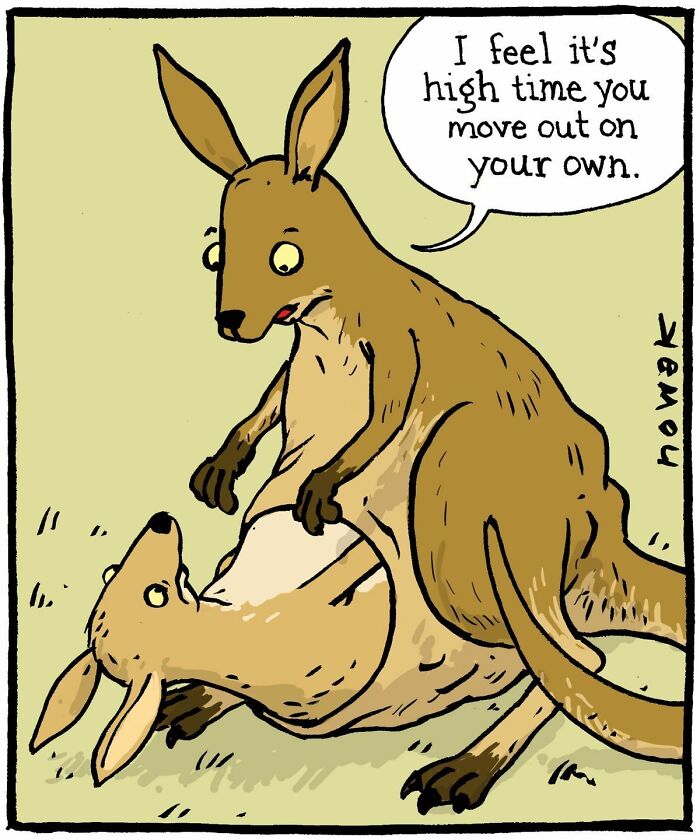 A comic depicting a baby kangaroo in its mothers pouch, while the mother says it's time to move out. Joseph Novak comics.